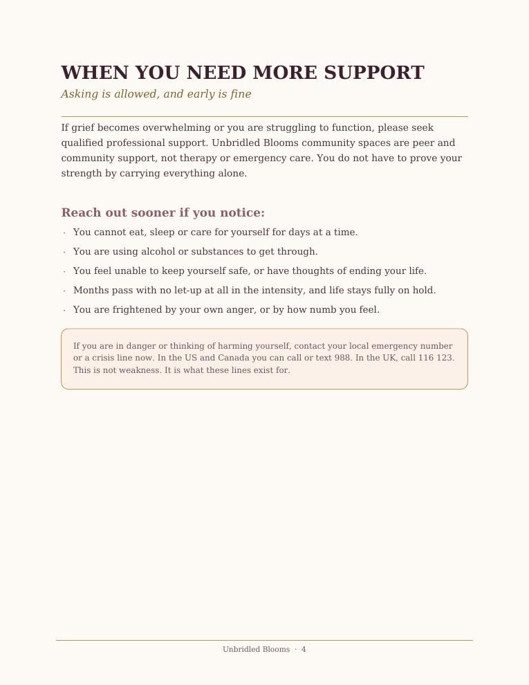 Workbook page titled 'When you need more support'